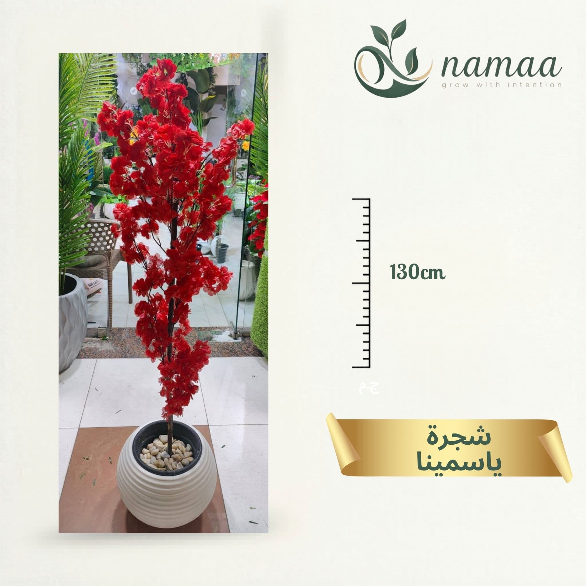 Yassmin Tree