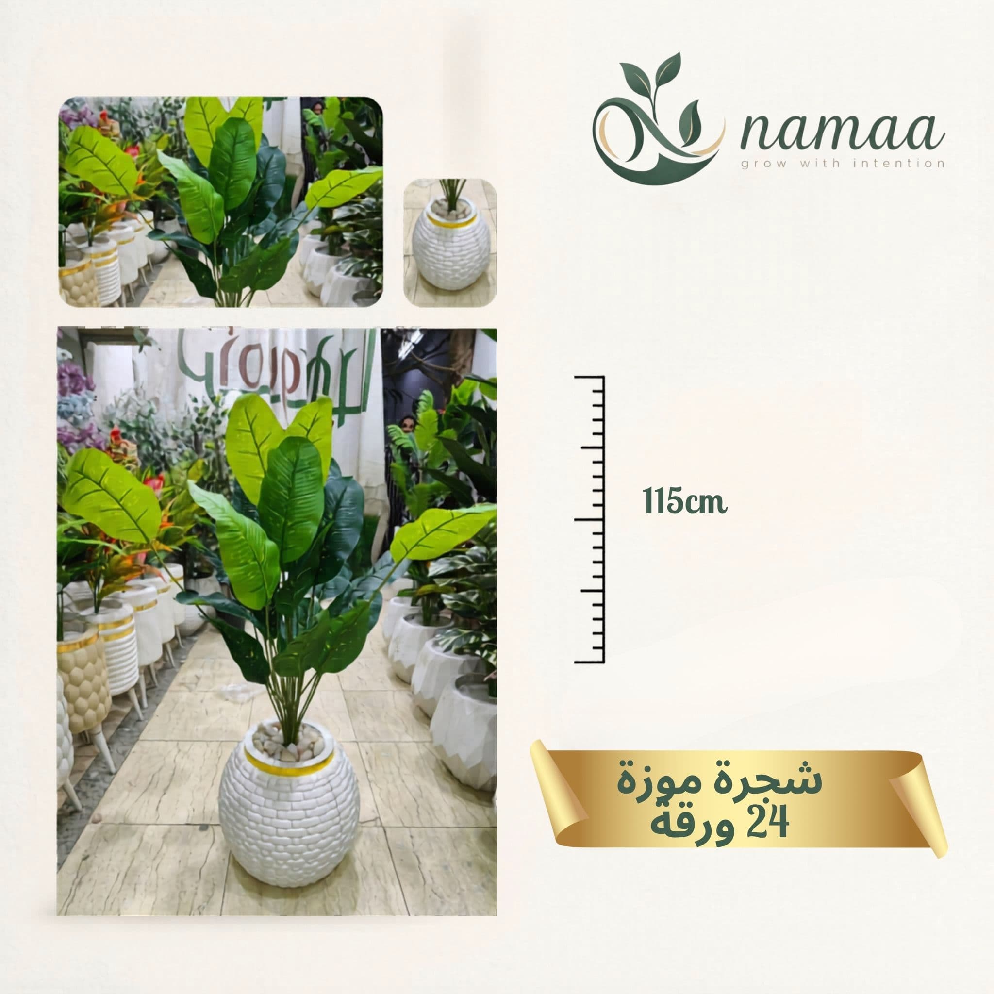 Banana tree